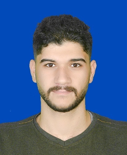 مسؤول النظام